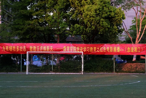 图片5
